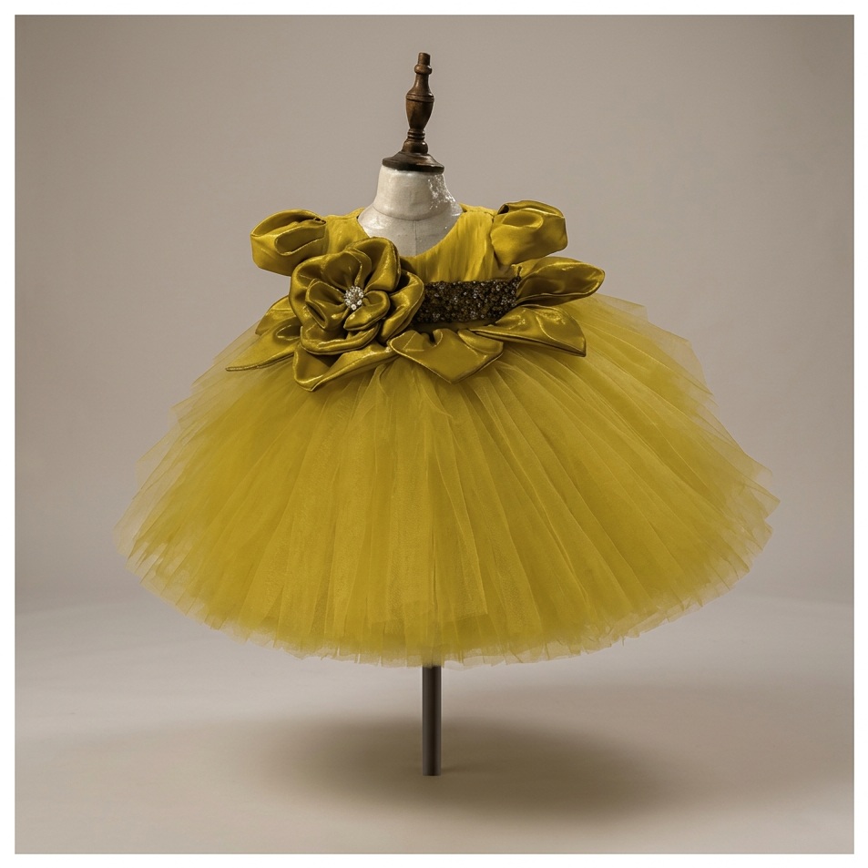 Student couture princess dress 4